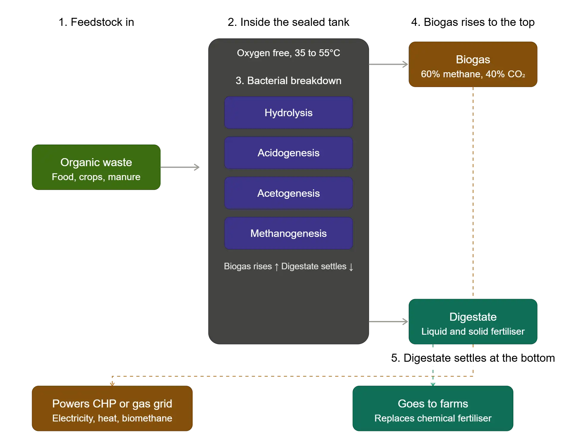 anaerobic_digestion_process