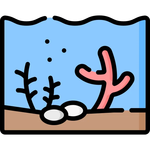 sea bed